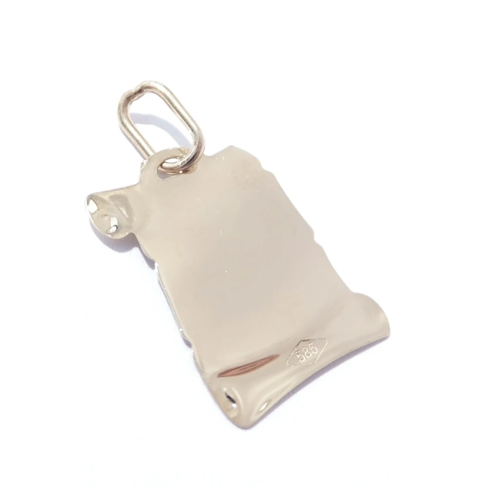 Zlatý přívěsek znamení Lev, Au 14K 585/1000, váha 0,49 g, použité zlato