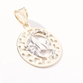 Zlatý přívěsek znamení Štír, Au 14K 585/1000, váha 0,81 g