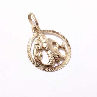 Zlatý přívěsek znamení Vodnář, 14K 585/1000, váha 0,70 g