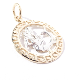 Zlatý přívěsek znamení Vodnář, Au 14K 585/1000, váha 1,38 g