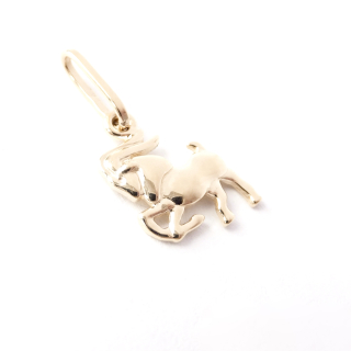 Zlatý přívěsek znamení Kozoroh, Au 14K 585/1000, váha 0,56 g